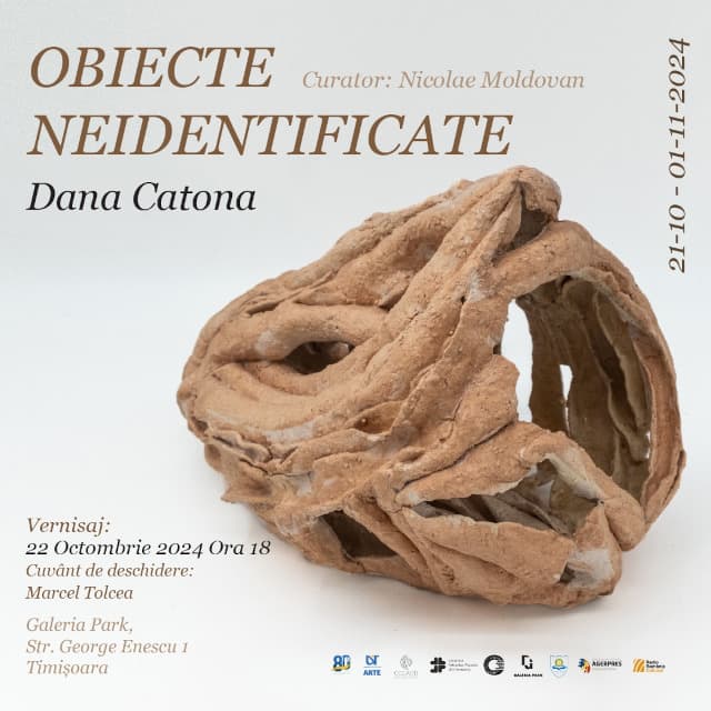 Obiecte Neidentificate  21 Oct  1 Noi